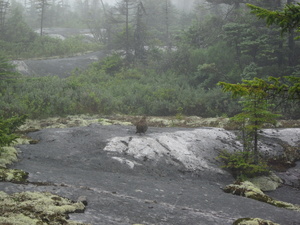 Appalachian Trail Appalachian Trail