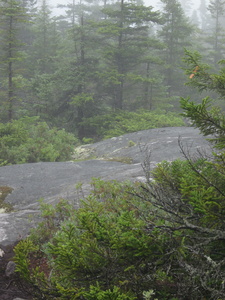 Appalachian Trail Appalachian Trail