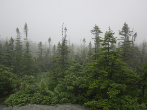 Appalachian Trail Appalachian Trail