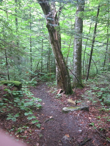 Appalachian Trail Appalachian Trail