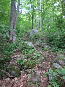 Appalachian Trail Appalachian Trail