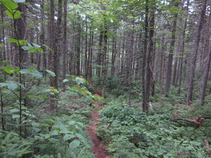 Appalachian Trail Appalachian Trail