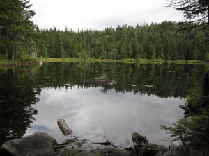 Appalachian Trail Mahoosic Trail Appalachian Trail Mahoosic Trail