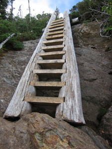 Appalachian Trail Ladder on trail Appalachian Trail Ladder on trail