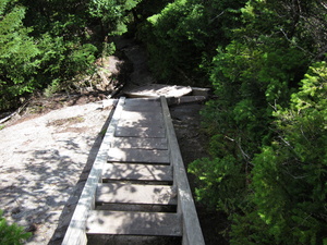 Appalachian Trail Ladder Appalachian Trail Ladder