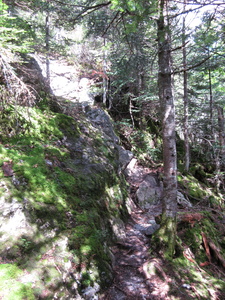 Appalachian Trail Appalachian Trail