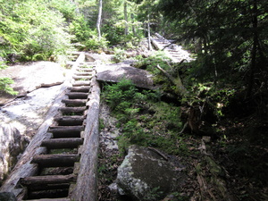 Appalachian Trail Ladder Appalachian Trail Ladder