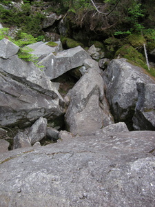 Appalachian Trail Appalachian Trail