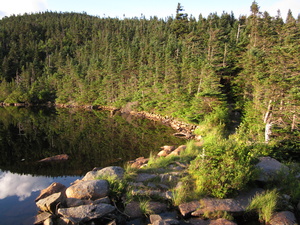 Appalachian Trail Speck Pond Appalachian Trail Speck Pond