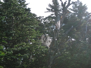 Appalachian Trail Appalachian Trail