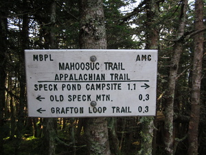 Appalachian Trail Mahoosuk Trail - Speck Pond Campsite 1.1 miles Appalachian Trail Mahoosuk Trail - Speck Pond Campsite 1.1 miles