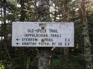 Appalachian Trail Mahoosuk Trail - Eyebrow Trail 2.4 miles Appalachian Trail Mahoosuk Trail - Eyebrow Trail 2.4 miles