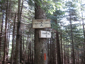 Appalachian Trail Intersection of Old Spec Trail and Eyebrow Trail Appalachian Trail Intersection of Old Spec Trail and Eyebrow Trail