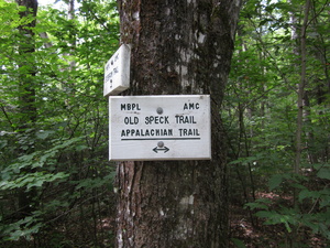 Appalachian Trail Old Speck Trail Appalachian Trail Old Speck Trail
