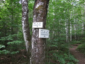 Appalachian Trail Intersection Old Speck Trail and Eyebrow Trail Appalachian Trail Intersection Old Speck Trail and Eyebrow Trail