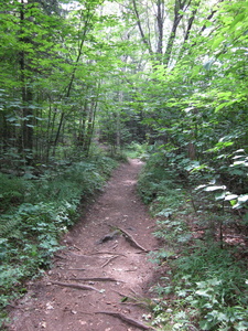Appalachian Trail Appalachian Trail