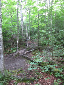 Appalachian Trail Appalachian Trail