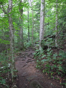 Appalachian Trail Appalachian Trail