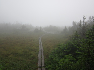 Appalachian Trail Fog Appalachian Trail Fog