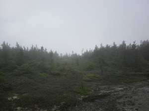 Appalachian Trail Appalachian Trail