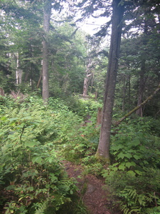 Appalachian Trail Appalachian Trail