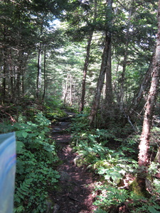 Appalachian Trail Appalachian Trail