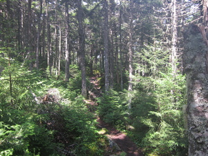 Appalachian Trail Appalachian Trail