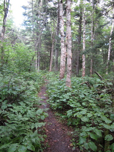 Appalachian Trail Appalachian Trail