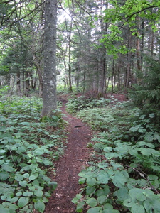 Appalachian Trail Appalachian Trail