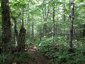 Appalachian Trail Appalachian Trail