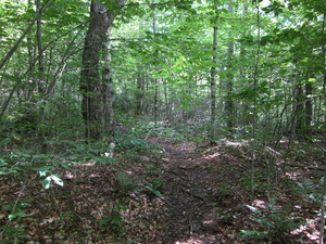 Appalachian Trail Appalachian Trail