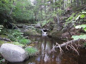 Appalachian Trail Appalachian Trail
