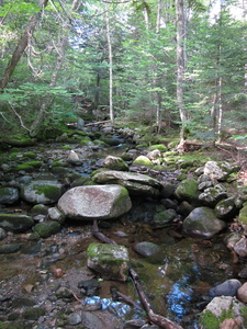 Appalachian Trail Appalachian Trail