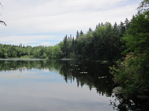 Appalachian Trail Surplus Pond Appalachian Trail Surplus Pond