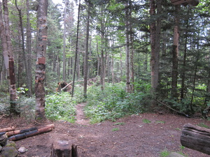 Appalachian Trail Appalachian Trail