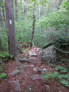 Appalachian Trail Appalachian Trail
