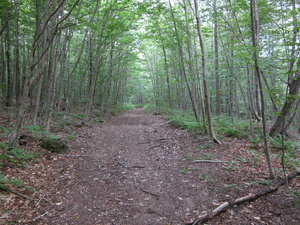 Appalachian Trail Appalachian Trail