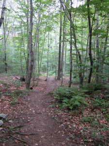 Appalachian Trail Appalachian Trail