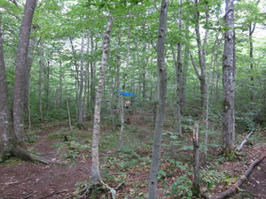 Appalachian Trail Campsite Appalachian Trail Campsite