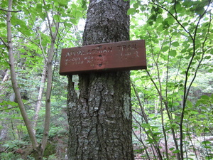 Appalachian Trail Sawyer Notch 2.4 miles Appalachian Trail Sawyer Notch 2.4 miles