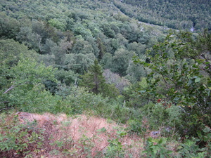 Appalachian Trail Appalachian Trail