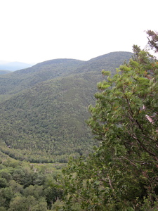 Appalachian Trail Appalachian Trail
