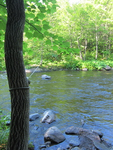 Appalachian Trail Ford, with rope over Big Wilson Stream. About 50 feet across. Appalachian Trail Ford, with rope over Big Wilson Stream. About 50 feet across.