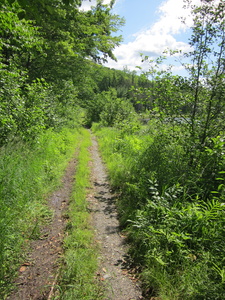 Appalachian Trail Trail along small lake Appalachian Trail Trail along small lake