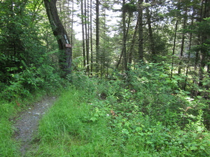 Appalachian Trail Appalachian Trail