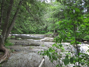 Appalachian Trail Just above Little Wilson Falls Appalachian Trail Just above Little Wilson Falls