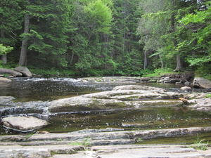 Appalachian Trail Just above Little Wilson Falls Appalachian Trail Just above Little Wilson Falls