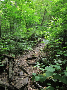 Appalachian Trail Appalachian Trail