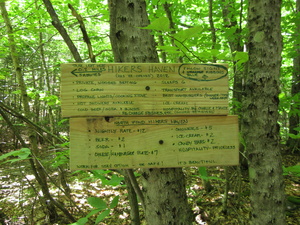 Appalachian Trail Trail Magic sign with direction to hiking hostle. Appalachian Trail Trail Magic sign with direction to hiking hostle.
