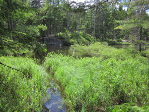 Appalachian Trail Beaver Pond Appalachian Trail Beaver Pond